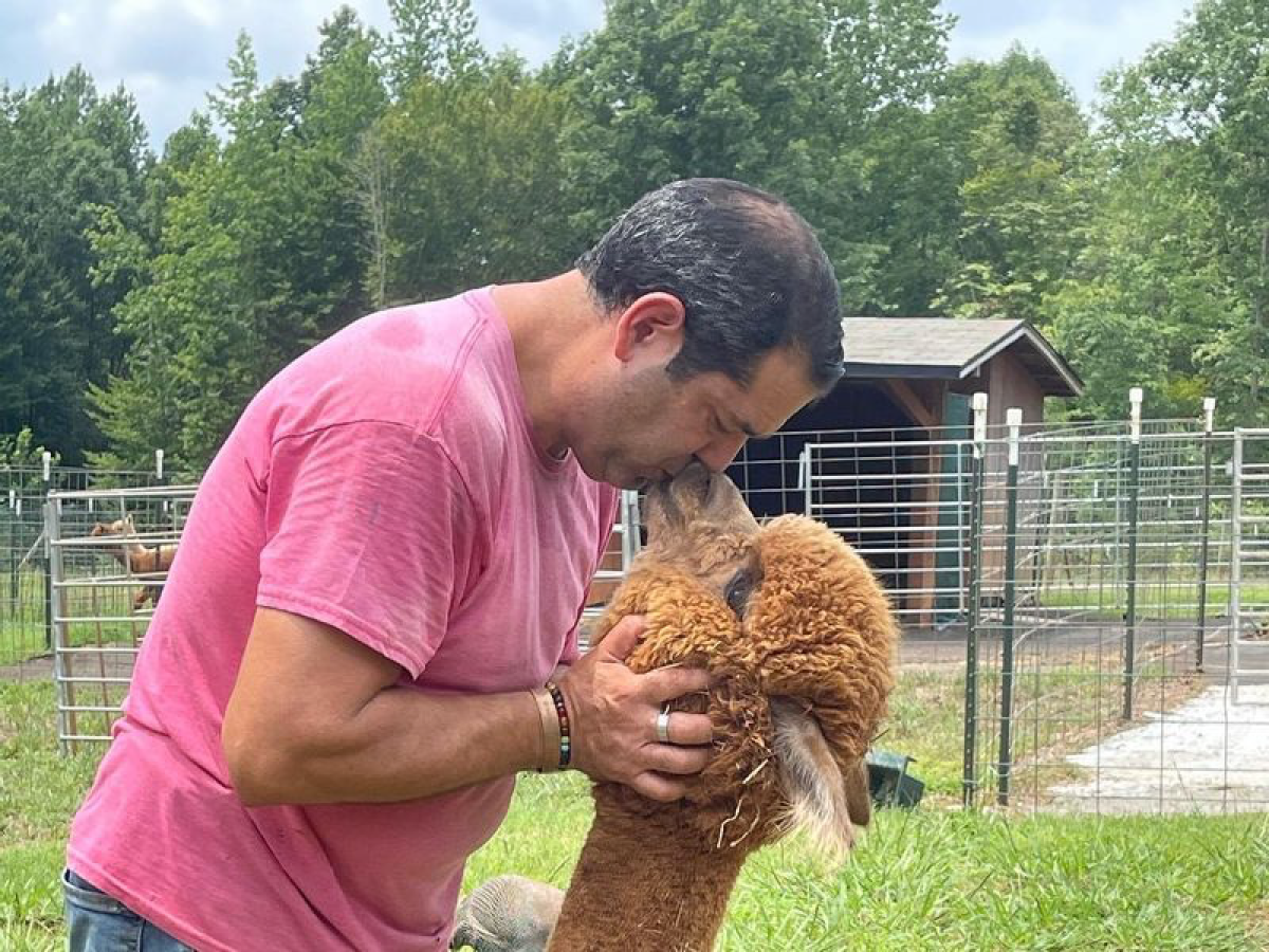 North Carolina’s Funniest Alpaca Farm Tours, Alpaca Products & Sales