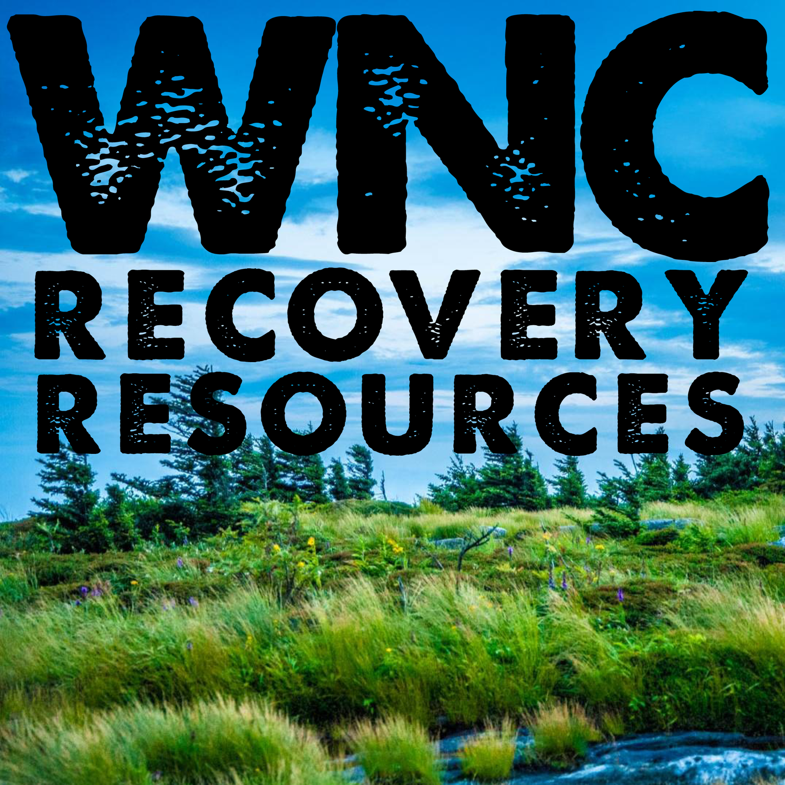 WNC Recovery Resources