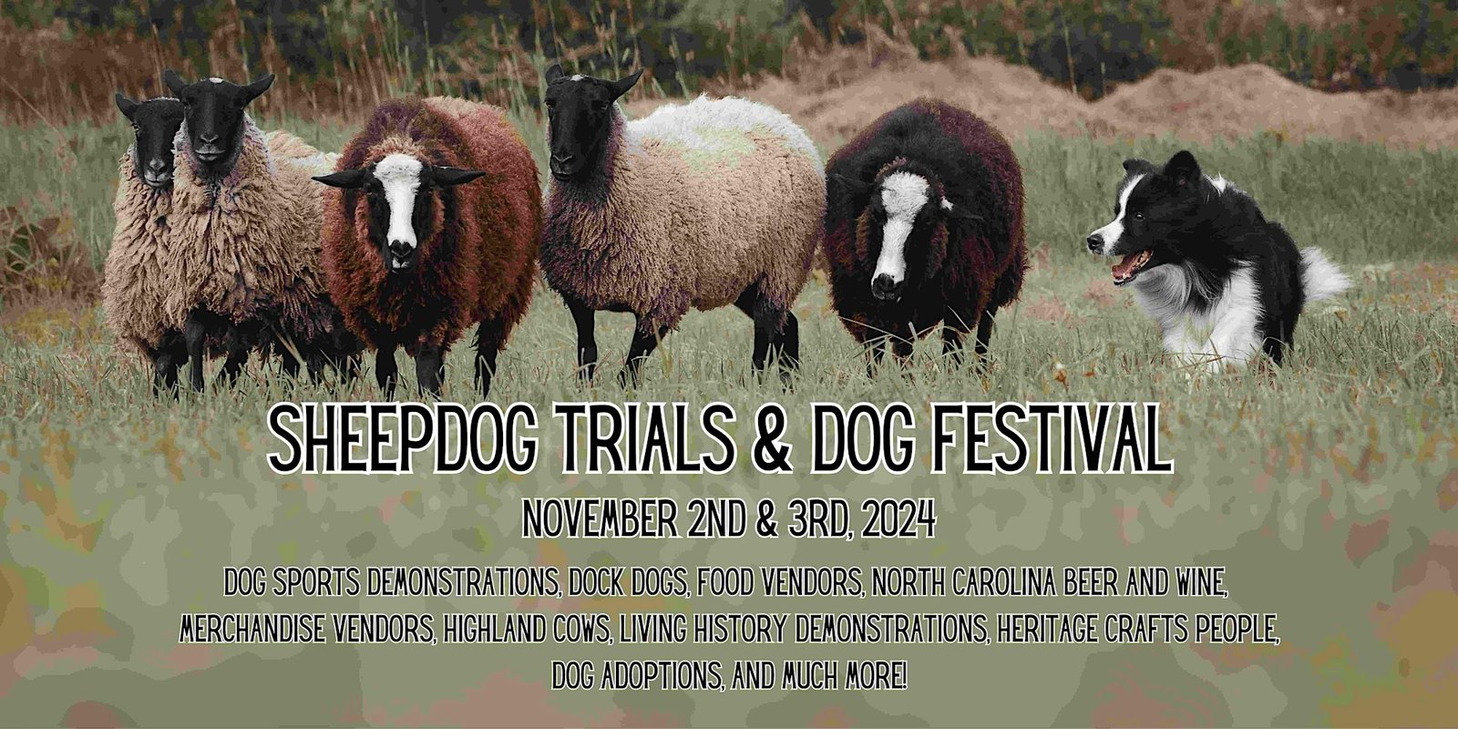 Sheepdog Trials and Dog Festival 2024
