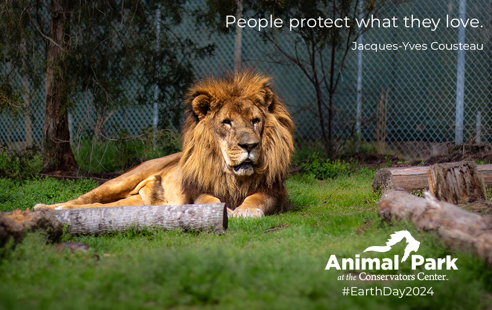 Earth Day at the Animal Park