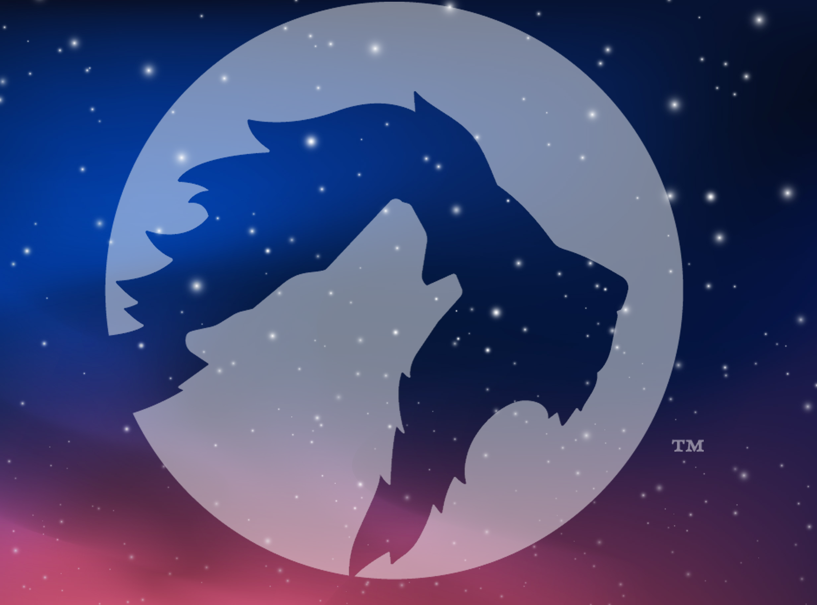 Wild Under the Stars at the Animal Park