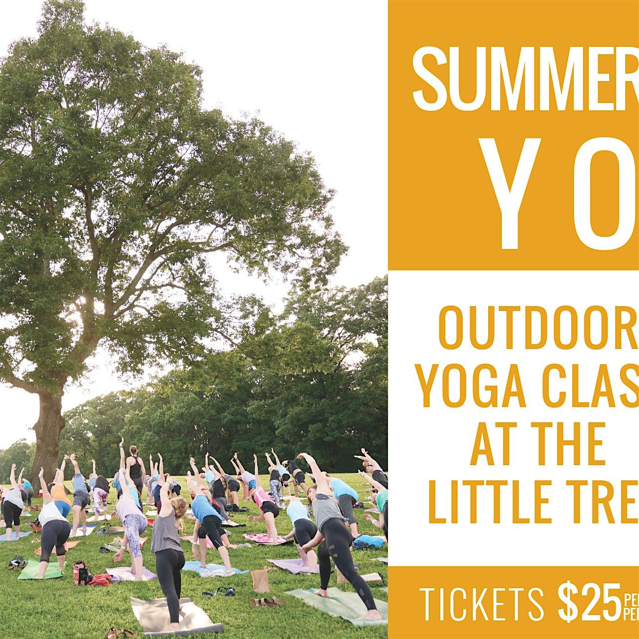 Summer Solstice Yoga 6.20.25