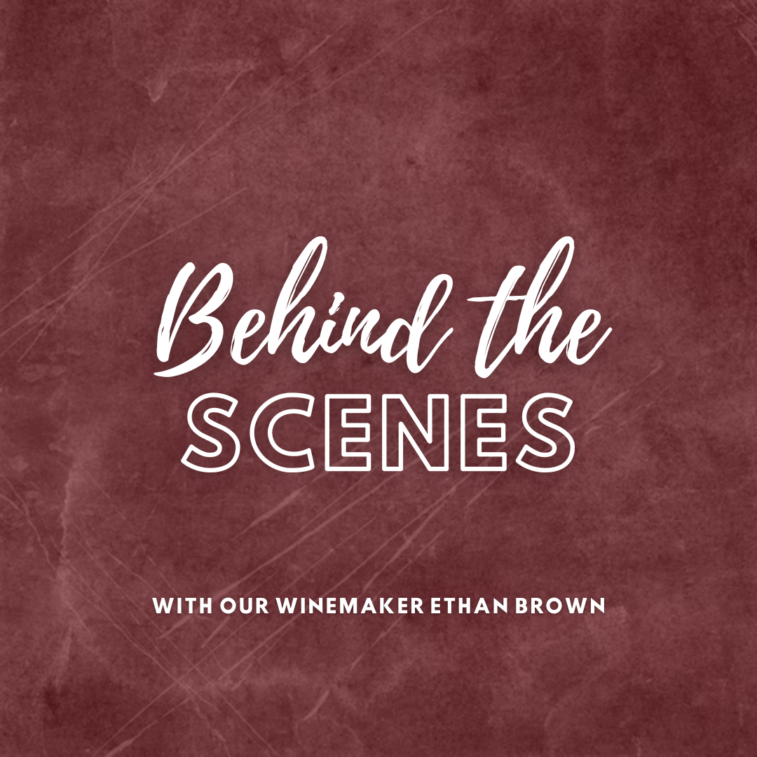Behind the Scenes with the Winemaker