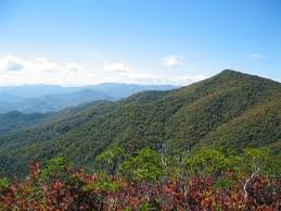 Rediscover the Unforgettable: Explore Sylva