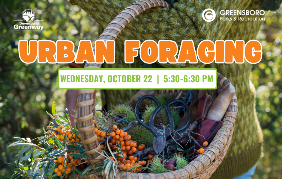 Urban Foraging