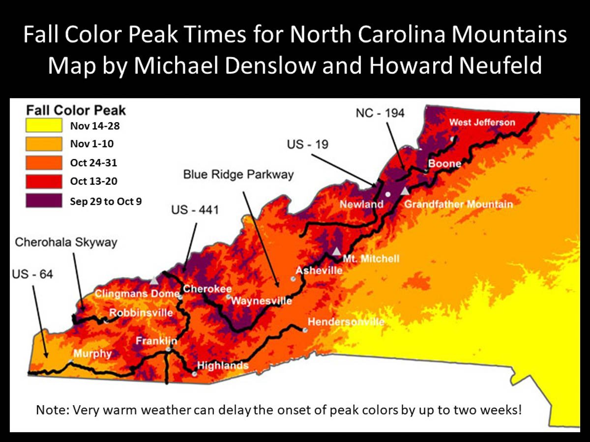 Feeling Blue? Chase The Kaleidoscope -Your Guide To Peak Fall Color